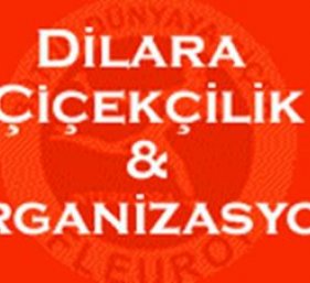 ORDU / Dilara Organizasyon